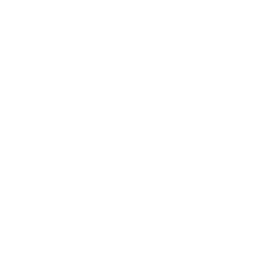 Product Indy Pass logo